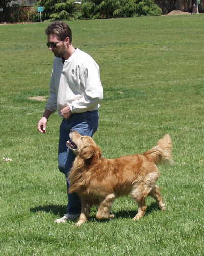 Tiger,  CH Sherwood's Let's Play A Round CD NA NAJ